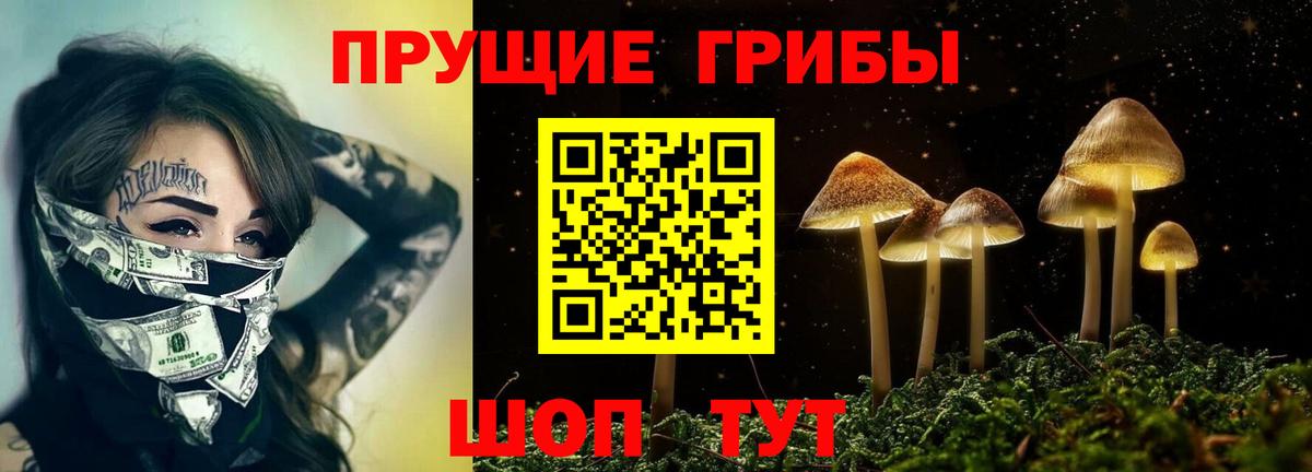 Трёхгорный  Псилоцибиновые грибы GOLDEN TEACHER  Галлюциногенные грибы ЛСД  Вход с VPN 